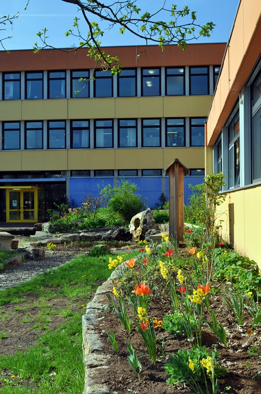 Grundschule Hofheim i.UFr.