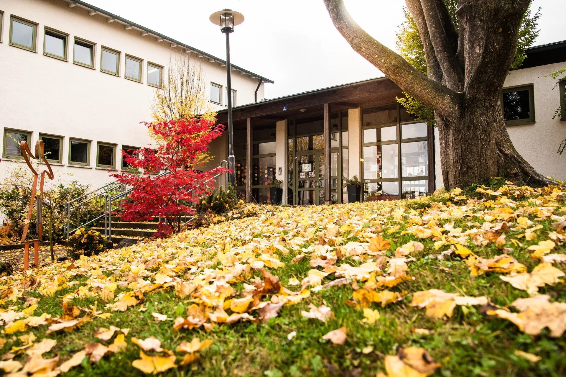 Hans-Carossa-Grundschule Passau-Heining
